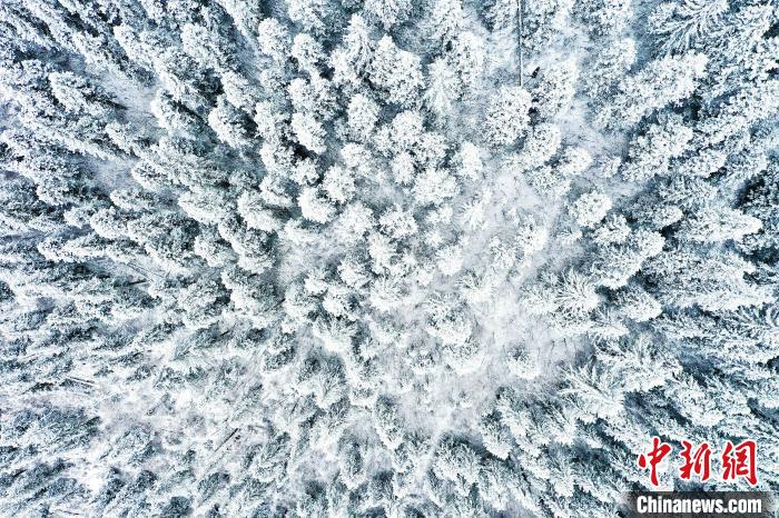壤塘的雪后美景?！∪捞量h融媒體中心供圖
