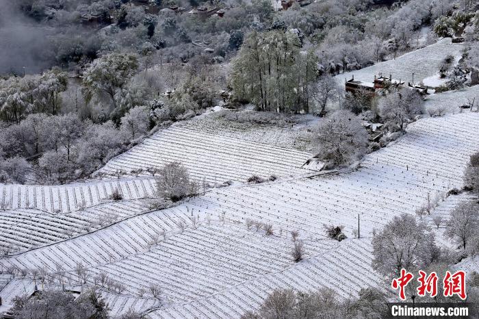 雪后的高山田間如畫?！±钣腊?攝