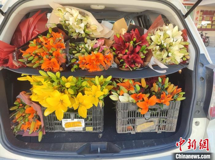 剛剛采摘下來的百合花?！∪捞量h委宣傳部供圖