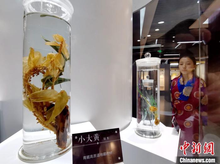 青海中藏醫(yī)藥發(fā)展提速：建設一批重點?？茖W科，推廣一批適宜技術