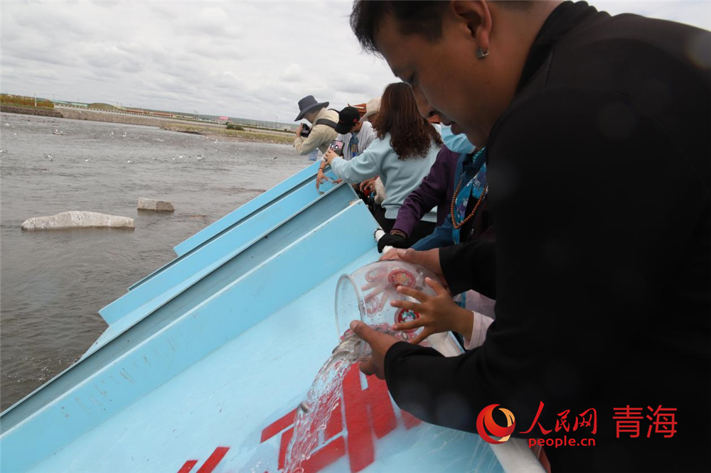 群眾放流青海湖裸鯉。人民網 陳明菊攝