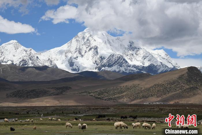 資料圖為拉薩市尼木縣境內(nèi)的瓊姆崗嘎雪山?！∝暩聛?lái)松 攝