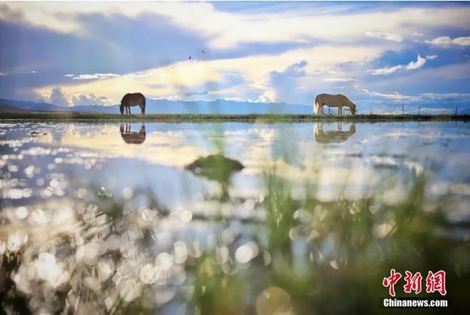 資料圖：那曲市申扎縣境內(nèi)的濕地。李雪峰 攝