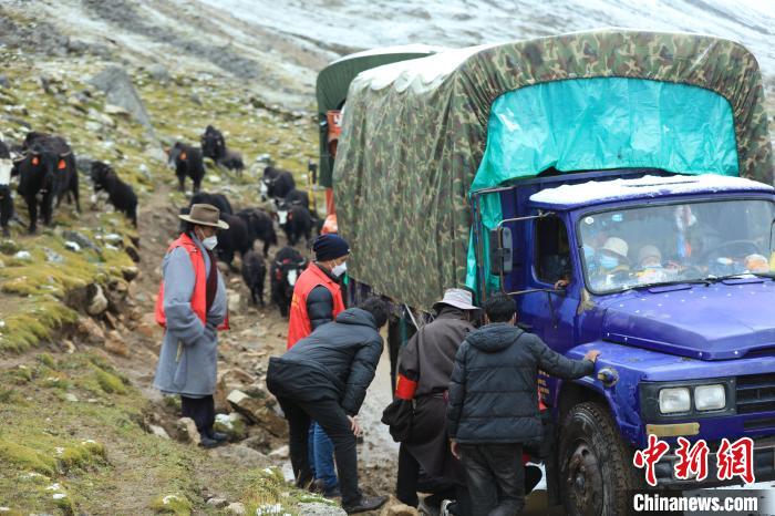 圖為牧民們查看車輛準備出發(fā)?！÷蹇?攝