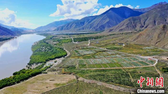 圖為桑日縣葡萄種植基地。　山南桑日縣委宣傳部提供