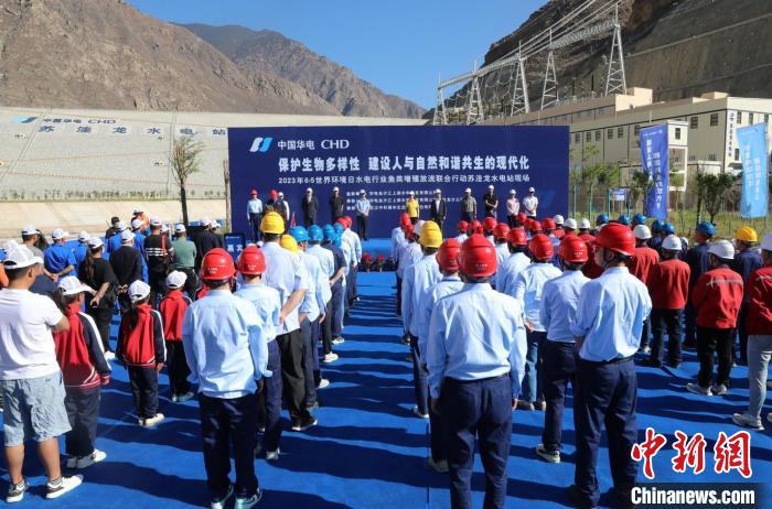 圖為蘇洼龍水電站魚類放流現(xiàn)場?！√K洼龍水電站供圖
