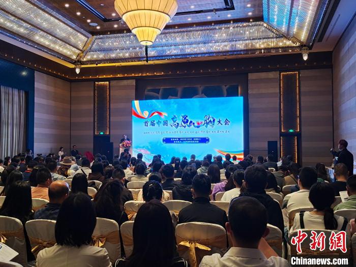 圖為首屆中國高原心胸大會現(xiàn)場。　頓旦旺姆 攝