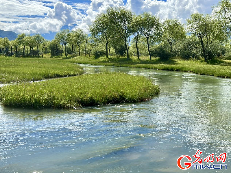 我們的家園丨【組圖】 綠水青山入畫，“金山銀山”筑起