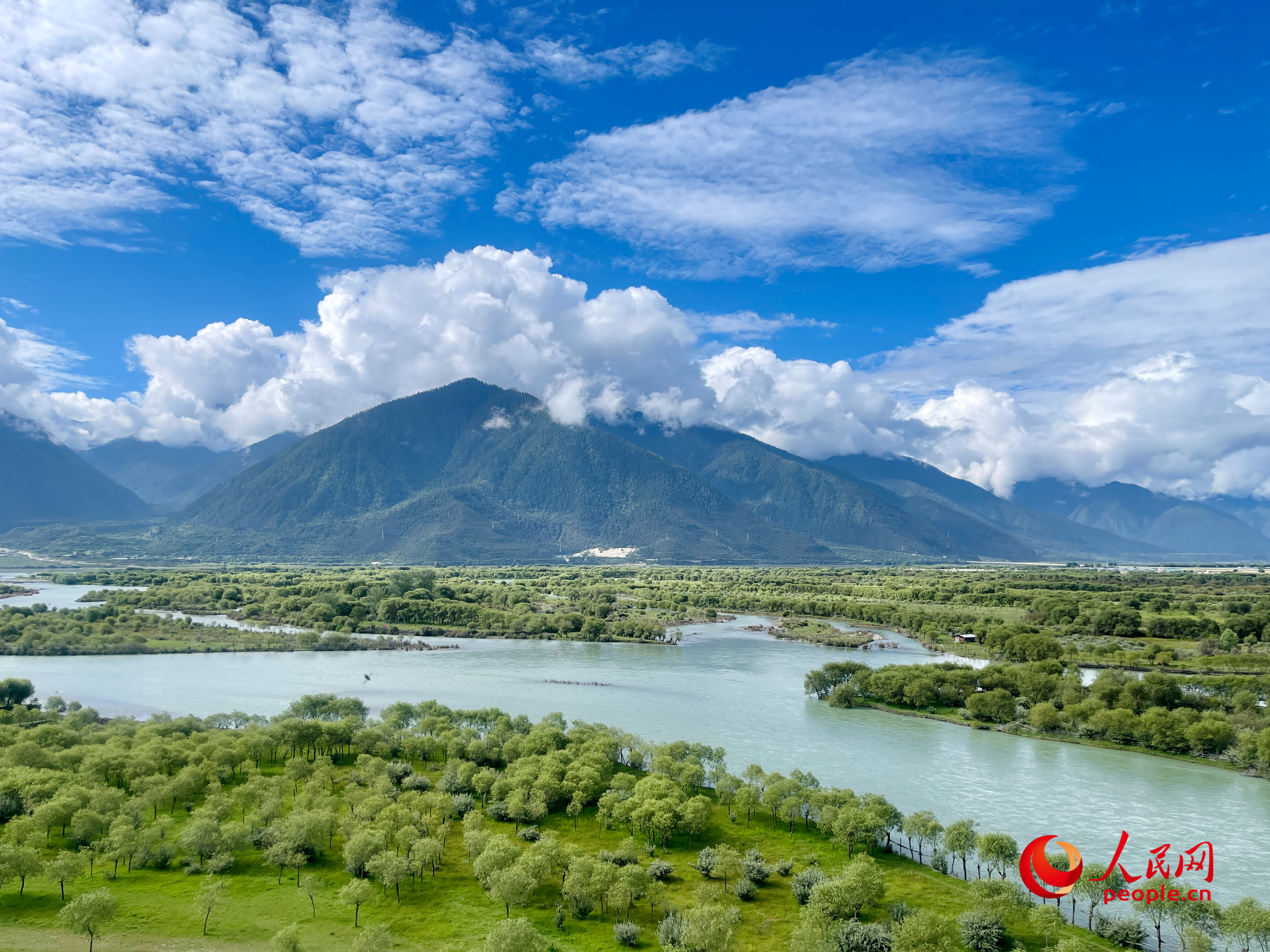 夏日的雅尼國家濕地公園生機盎然，如詩如畫。人民網(wǎng) 周靜圓攝
