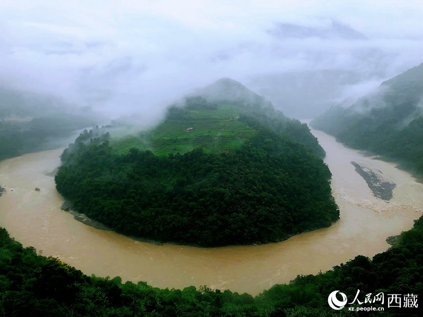 雅魯藏布江大峽谷蛇形拐彎處，山坡上種滿茶樹。
