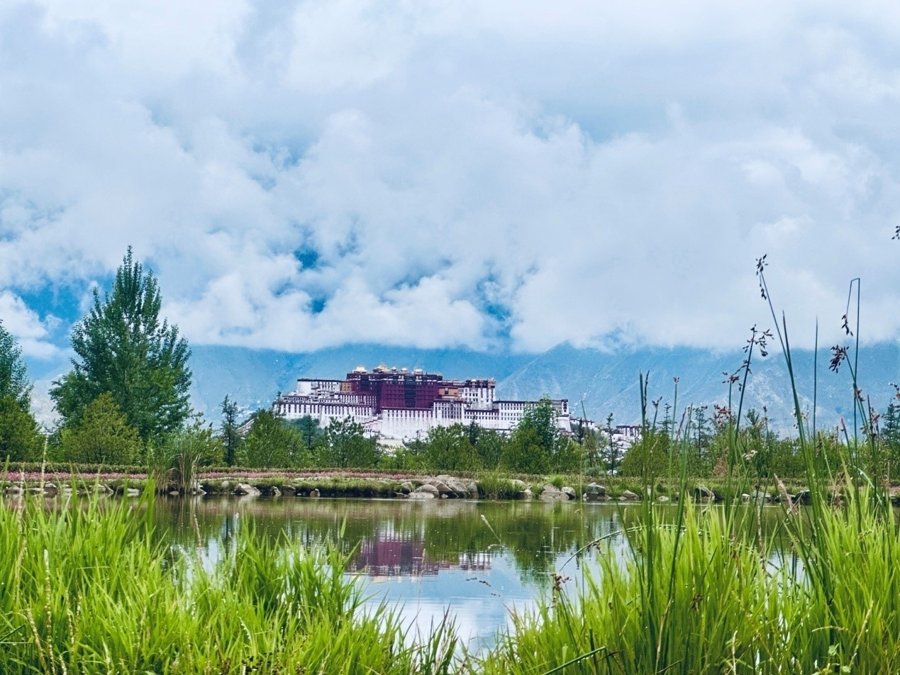 在南山公園遠(yuǎn)眺布達(dá)拉宮。人民網(wǎng)記者 益西康珠攝