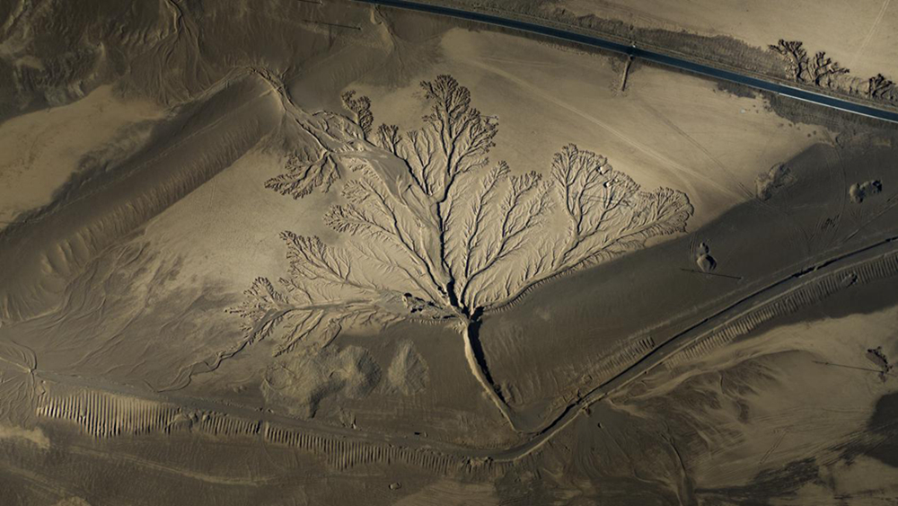 無(wú)人機(jī)視角下的西藏阿里地區(qū)改則縣“大地之樹”景觀。尼瑪多吉攝